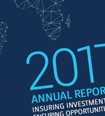 2017 Annual Report